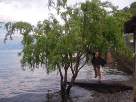 Patrick Blanc under Salix babylonica ( the common cultivar known as Salix matsudana Tortuosa), Como lake, Italy, April 2016