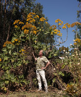 Patrick Blanc under Solanecio gigas, Gondar, Ethiopia, Jan. 2019
