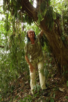 Patrick Blanc undert a dehydrated epiphytic individual of Elatostema macrophyllum in the dry season, Tomohon, Sulawesi, Aug. 2015