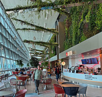 Patrick Blanc under the blades in in Gourmet Garden at Changi T2 airport, two years after plant installation, Singapore, April 2025