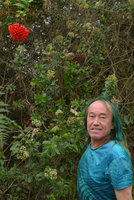 Patrick Blanc under the bright red flowers of the climbing Bomarea multiflora, Chicaque, Soacha, Colombia, Oct. 2016