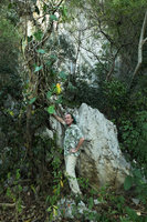 Patrick Blanc under the climbing Philodendron lacerum, Valle de Vinales, Cuba, Feb. 2017.jpeg
