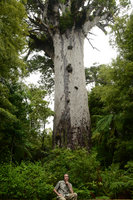 Patrick Blanc under the Father of the Forest, Agathis australis, Waipoua, New Zealand, Dec 2012
