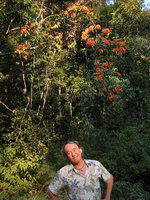 Patrick Blanc under the flowering liana Bauhinia kockiana