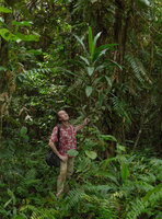 Patrick Blanc under the original form of Cordyline terminalis in forest understory, Madang, Papua New Guinea, March 2016