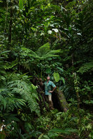 Patrick Blanc under the pedate frond of Pteris wallichiana, Imbu Rano, Kolombangara, Solomon Islands, Sept. 2019