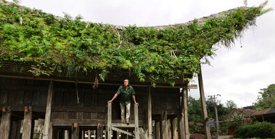 Patrick Blanc under the roof of an old tongkonan Toraja house, covered  by mosses and ferns thanks to the heavy rainfall all the year round, Lemo, Tana Toraja, South Sulawesi, June 2019