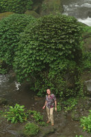 Patrick Blanc under the waterfall spray at the base of a big boulder covered by Elatostema macrophyllum, Pelangi waterfall, Malang, Java, April 2018