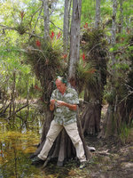 Patrick Blanc under Tillandsia fasciculata, epiphytic on bald cypress trunk, Everglades NP, Florida, April 2013