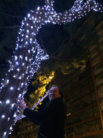 Patrick Blanc under tree branches lighted for Christmas, Monaco, Nov 2015
