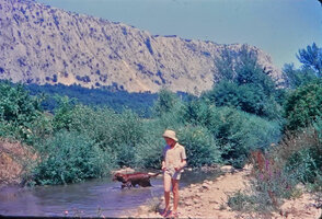 Patrick Blanc walking along a small river lined with rheophytic shrubs, Portugal, Aug. 1965