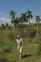 Patrick Blanc walking among Roystonea regia in savanna habitat, Guanajay, Cuba, Feb. 2017.jpeg