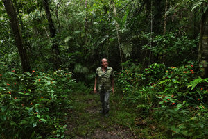 Patrick Blanc walking between two patches of Psychotria elata,, Mountain Pine Ridge FR, Belize, Jan. 2020