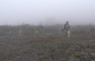 Patrick Blanc walking in the misty highland savanna, Anggi Lakes, 2300 m asl, Arfak Mts, West Papua, May 2025