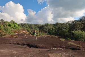 Patrick Blanc walking on sandstone slabs between patches of Cyanotis arachnoidea, Phu Hin Rong Kla NP, Phitsanulok, Thailand, Nov. 2018