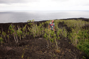 Patrick Blanc with a population of the introduced pioneer species, Boehmeria penduliflora, colonising a recent lava flow, Sainte-Rose, La Reunion, Oct. 2015