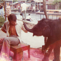 Patrick Blanc with a young elephant, Thailand, Aug. 1972