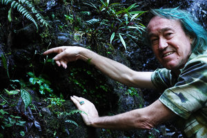 Patrick Blanc with Peperomia pedicellata and Lobelia nubicola on seeping mossy rock, Biotopo del Quetzal, Baja Verapaz, Guatemala, Jan. 2020