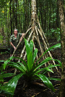Patrick Blanc with young and old Pandanus dubius, Nggatirana, Halisi, Solomon Islands, Sept. 2019