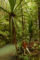 Patrick Blanc at the base of monocaulous Pandanus joskei with litter trapping apical leaf rosette and young seedlings along stream banks, Colo-I-Suva, Viti Levu, Fiji, Aug. 2016