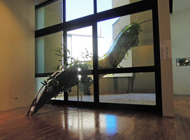 Penetrante Vivante by Patrick Blanc at the GAM museum, Torino, Italy