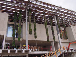 Perez Art Museum Miami, first chamber with plants, 25th October 2013