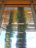 Perez Art Museum Miami, first installed columns seen from inside the Museum, 25th October 2013