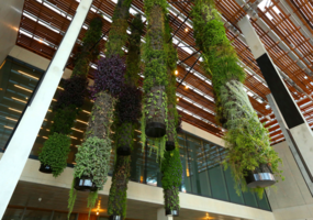 Perez Art Museum Miami_hanging_gardens_photo_world_red_eye_web