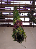 Perez Art Museum Miami, plant installation in progress on the first columns , October 2013