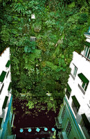 Pershing Hall Vertical Garden by Patrick Blanc in the afternoon