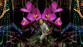 Photo for the presentation of the film Field Trip with Patrick Blanc in India by Pascal Héni