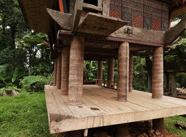 Pigafetta elata stipes used as pillars for traditional tongkonan houses and rice barns, Buntu Pune, Tana Toraja, South Sulawesi