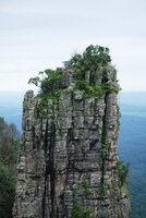 Pinnacle Rock, quartzite tower covered by forest at the top, Blyde River Canyon, Mpumalanga, South Africa