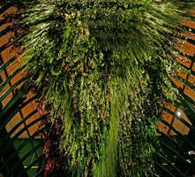 Plafond Végétal at Patrick Blanc&#039;s exhibition Folies Vegetales at EDF Electra, Paris