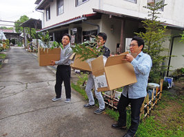 Plants arriving at the nursery, Yamaguchi, Japan