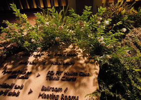 Plants, stone and information, Sofitel Palm Jumeirah, Dubai
