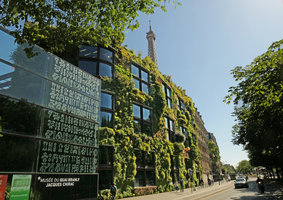 Quai Branly Jacques Chirac Museum, the Vertical Garden by Patrick Blanc,13 years after its creation, June 2017