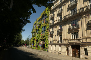 Quai Branly Jacques Chirac Museum Vertical Garden by Patrick Blanc,13 years after its creation, late afternoon sunlight, June 2017