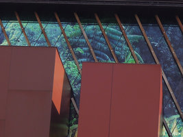 Quai Branly Museum, translucent façade with  exhibition boxes and photo by Patrick Blanc of the rattan Ancistrophyllum secundiflorum in Cameroun rain forest canopy