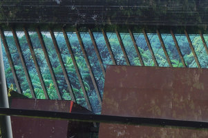 Quai Branly Museum, translucent façade with  photo by Patrick Blanc of the rattan Ancistrophyllum secundiflorum in Cameroun and reflection of flowering horse chestnut on the glass façade