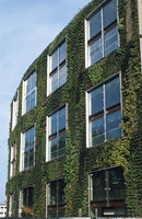 Quai Branly Museum Vertical Garden by Patrick Blanc,, two months after the plant installation, September 2004