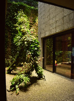 Racines Echasses du Patio and Canyon,  Vertical Gardens by Patrick Blanc, Oct. 2016, Il Sereno, Como Lake, Italy