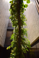 Racines Echasses du Patio, underview, Il Sereno, Como Lake, Italy, Oct. 2016