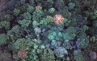 Radeau des Cimes, the Canopy Raft on primary forest canopy where Cercestis blancii was discovered by Patrick Blanc, during the Scientific expedition from Oct. to Dec. 1991, Ebodjé, Campo, Cameroon, photo  Dany Cleyet-Marrel