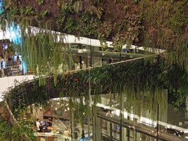 Rain Forest Chandelier, EmQuartier, Bangkok, Lycopodium goebelii close-up