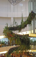 Rain Forest Chandelier, EmQuartier, Bangkok, top with suspending cables and climbing Cissus sicyoides