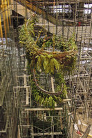 Rain Forest Chandelier, EmQuartier, Bangkok, view from above, work in progress, 6th April 2015