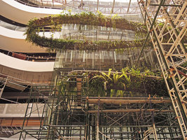 Rain Forest Chandelier, EmQuartier, Bangkok, work in progress, transparency of the Nephrolepis falcata fern fronds, 6th April 2015