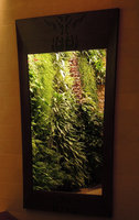 Reflection in a mirror of the Vertical Garden, Sofitel Palm Jumeirah, Dubai