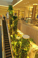 Robinsons Dubai, Green Columns